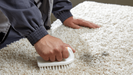 Professional Rug Cleaning Deepdene